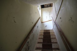 Images for Whaley Road, Wokingham