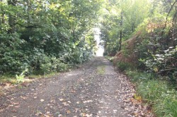 Images for Peacock Lane, Wokingham