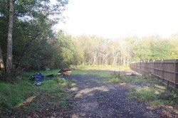 Images for Peacock Lane, Wokingham