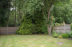 Images for Wimbushes, Finchampstead, Wokingham