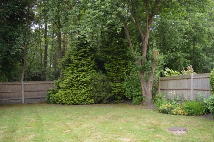 Images for Wimbushes, Finchampstead, Wokingham EAID: BID:wokingham