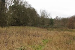 Images for Finchampstead, Wokingham