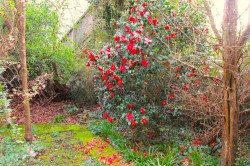 Images for Gipsy Lane, Wokingham