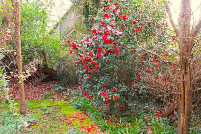 Images for Gipsy Lane, Wokingham EAID: BID:wokingham