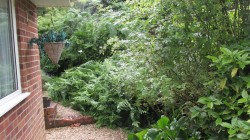 Images for Oaklands Drive, Wokingham