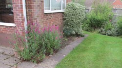Images for Oaklands Drive, Wokingham