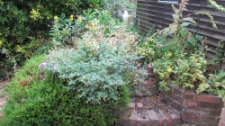 Images for Oaklands Drive, Wokingham