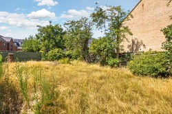 Images for Whaley Road, Wokingham