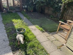 Images for Chapel Terrace, Binfield