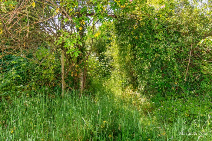 Images for Sutcliffe Avenue, Earley, Reading EAID:MP BID:MP