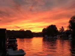 Images for Rod Eyot, off Wargrave Road, Henley