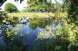 Images for School Road, Hurst, Reading