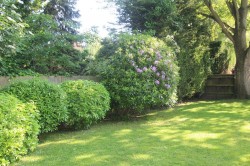 Images for School Road, Hurst, Reading