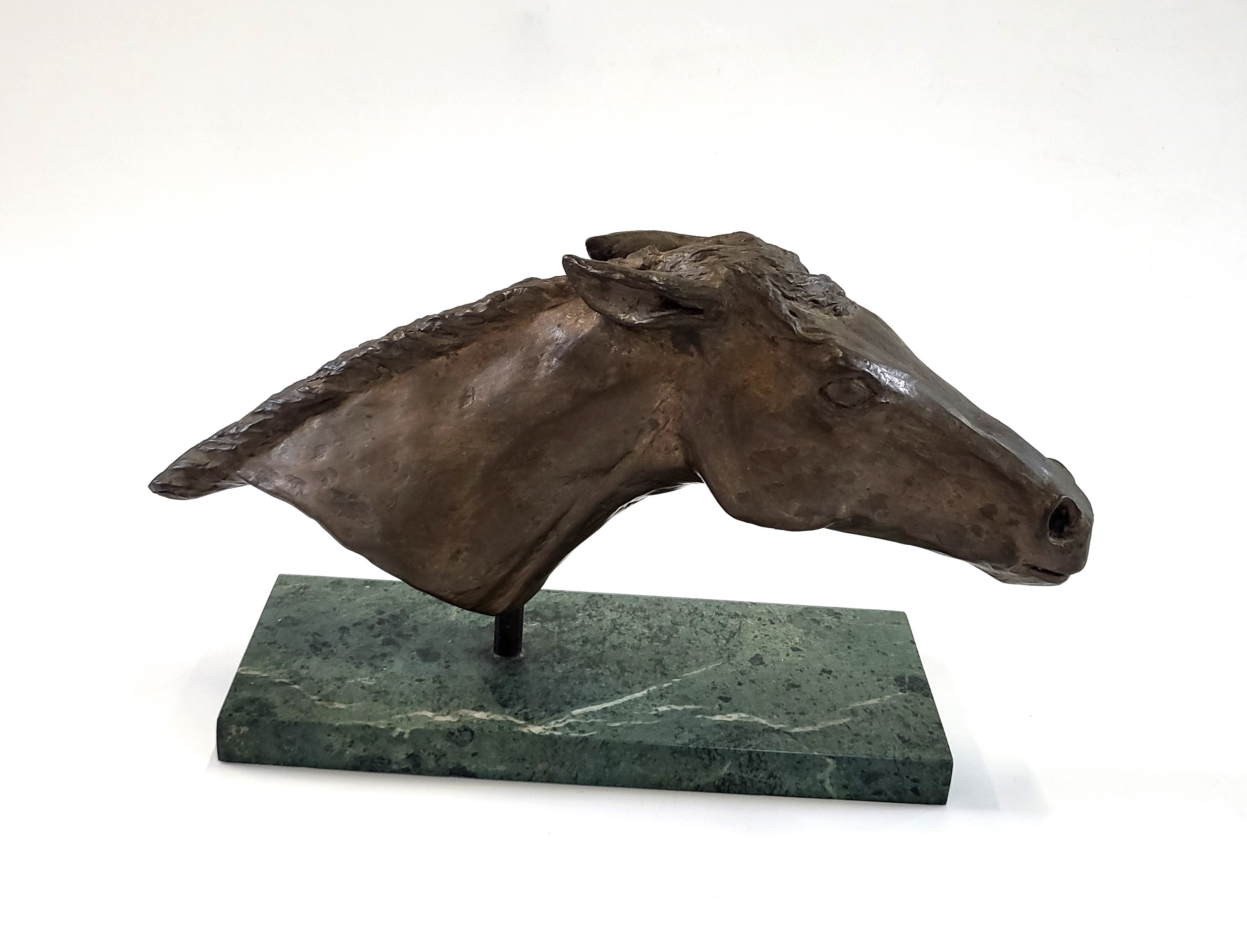 horse head